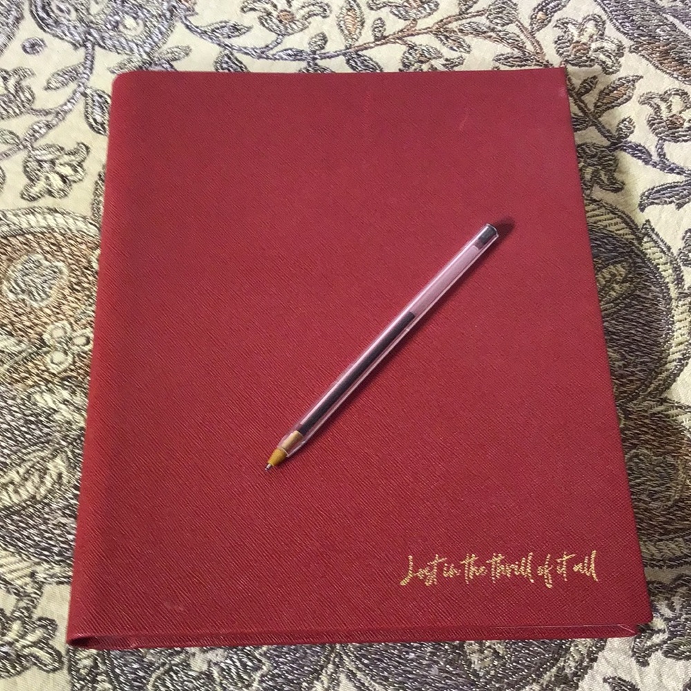SALE 🔥Journal "Lost in the Thrill of it all" dotted pages ring bound
